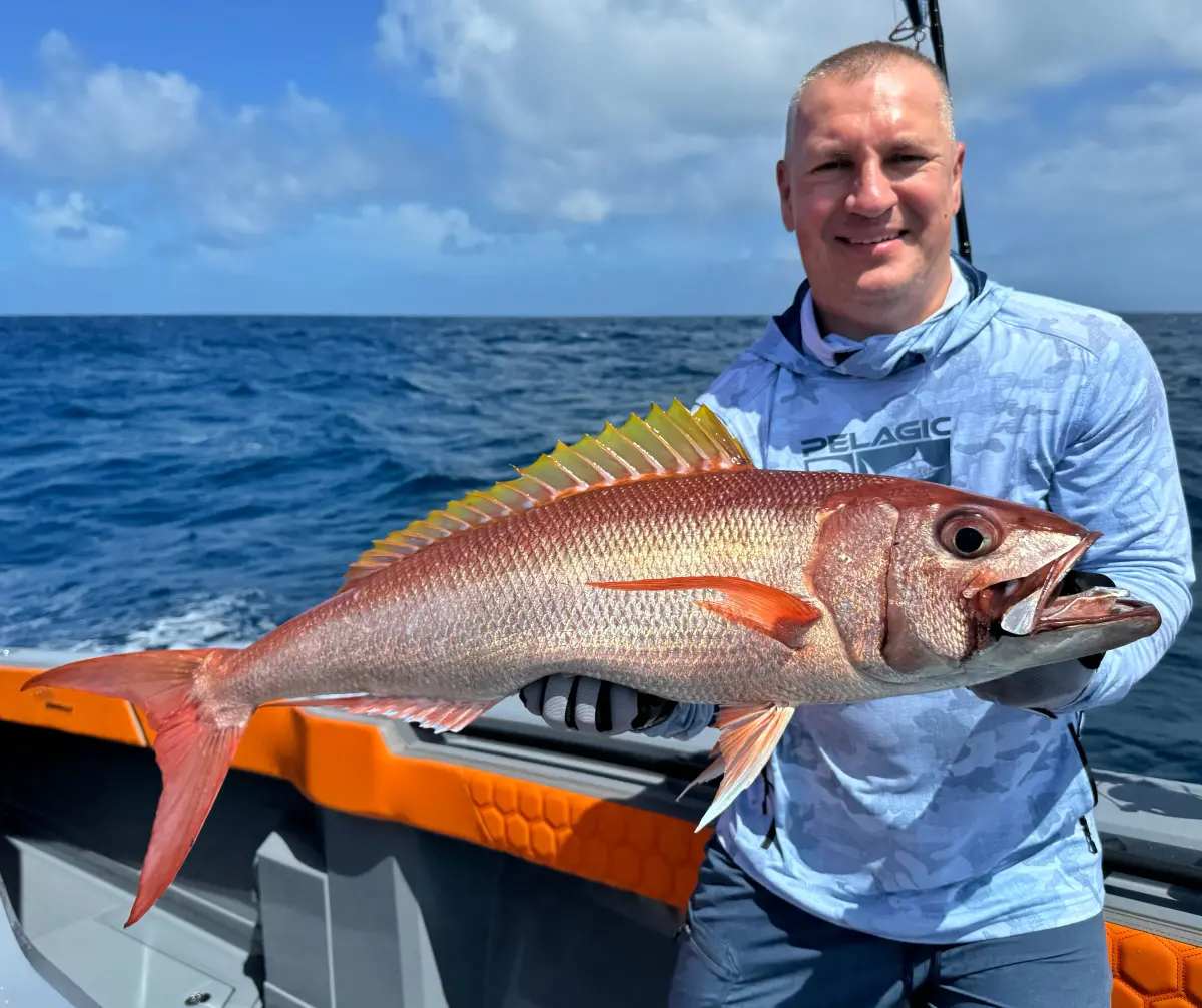 Тур Big Game Drop Off 8h