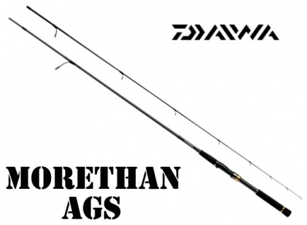 morethan-AGS-87LMX.jpg